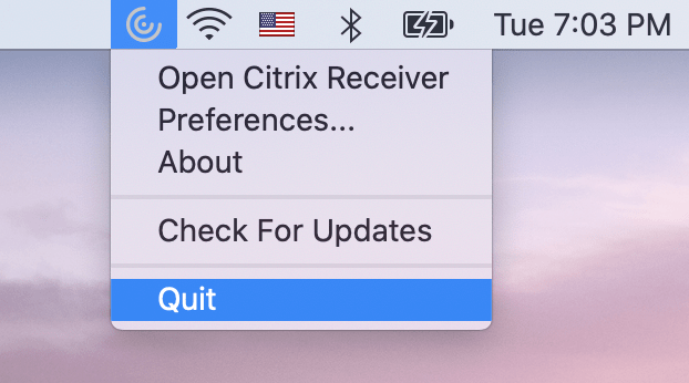 Citrix receiver for mac os 10.15.4
